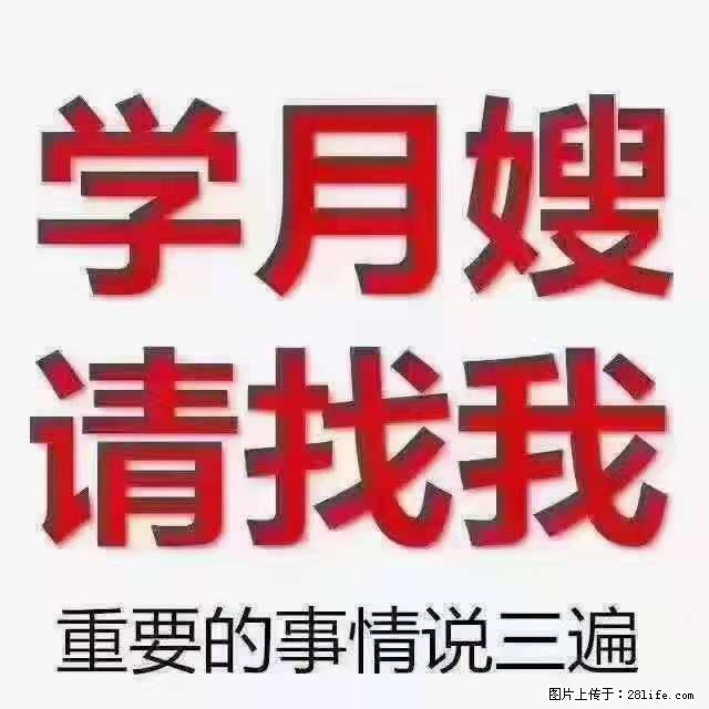 为什么要学习月嫂，育婴师？ - 其他广告 - 广告专区 - 盐城分类信息 - 盐城28生活网 yancheng.28life.com