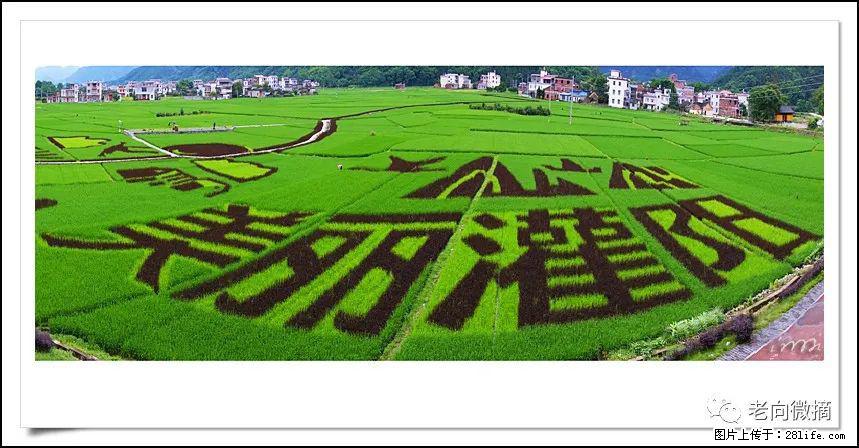 【春天,广西桂林灌阳县向您发出邀请!】开篇 - 游山玩水 - 盐城生活社区 - 盐城28生活网 yancheng.28life.com