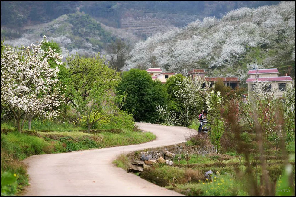 【春天,广西桂林灌阳县向您发出邀请!】我们在灌阳看梨花 - 游山玩水 - 盐城生活社区 - 盐城28生活网 yancheng.28life.com
