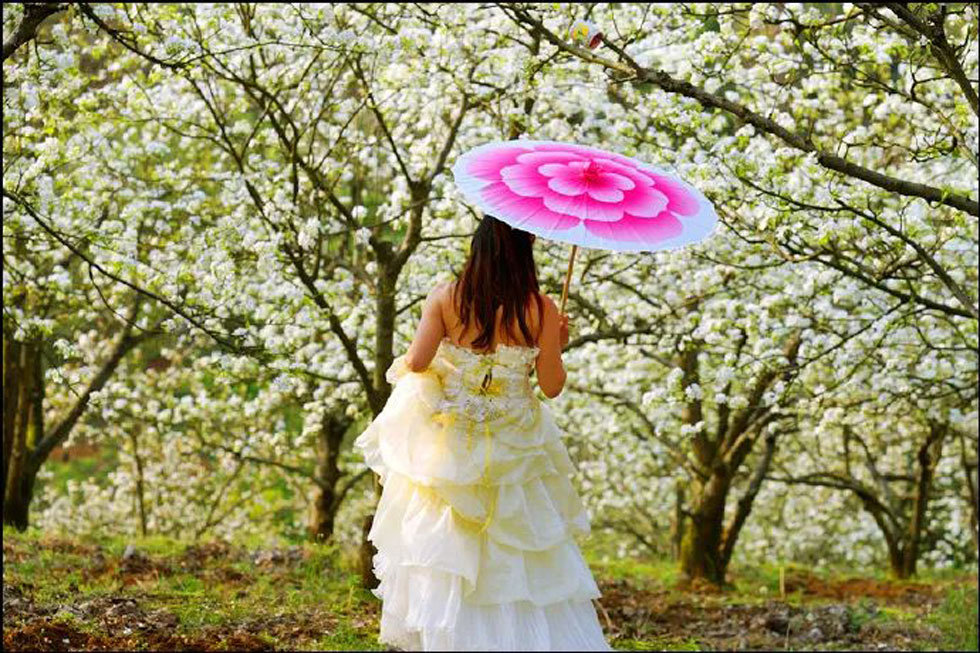 【春天,广西桂林灌阳县向您发出邀请!】我们在灌阳看梨花 - 游山玩水 - 盐城生活社区 - 盐城28生活网 yancheng.28life.com