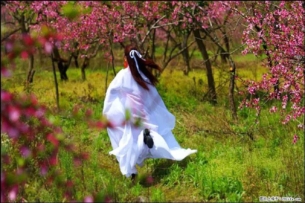 【春天,广西桂林灌阳县向您发出邀请!】官庄村有个醉美的桃花园 - 游山玩水 - 盐城生活社区 - 盐城28生活网 yancheng.28life.com