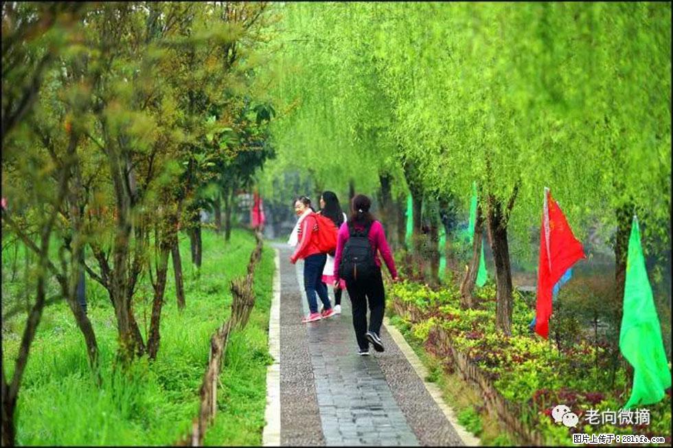 【春天,广西桂林灌阳县向您发出邀请!】江口老街又逢春 - 游山玩水 - 盐城生活社区 - 盐城28生活网 yancheng.28life.com