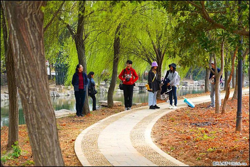 【春天,广西桂林灌阳县向您发出邀请!】江口老街又逢春 - 游山玩水 - 盐城生活社区 - 盐城28生活网 yancheng.28life.com