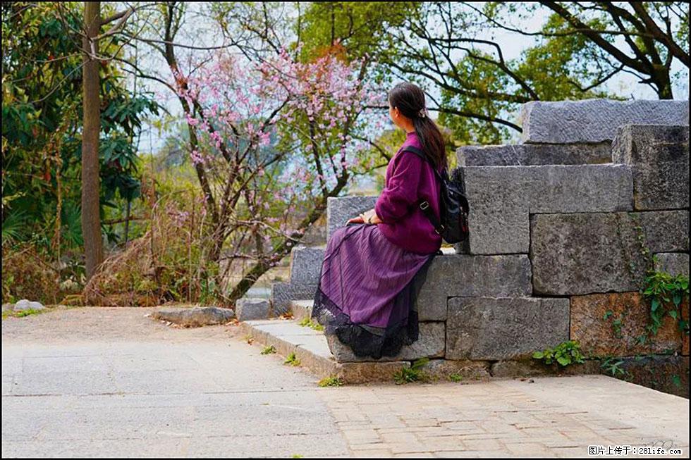 【春天,广西桂林灌阳县向您发出邀请!】江口老街又逢春 - 游山玩水 - 盐城生活社区 - 盐城28生活网 yancheng.28life.com