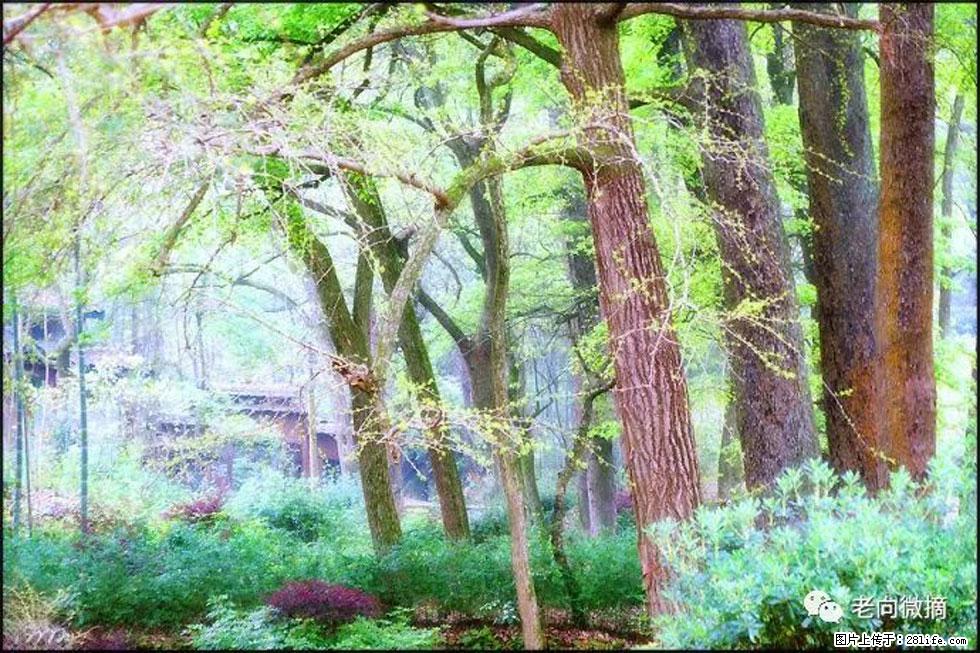 【春天,广西桂林灌阳县向您发出邀请!】在小龙村与春天约会 - 游山玩水 - 盐城生活社区 - 盐城28生活网 yancheng.28life.com