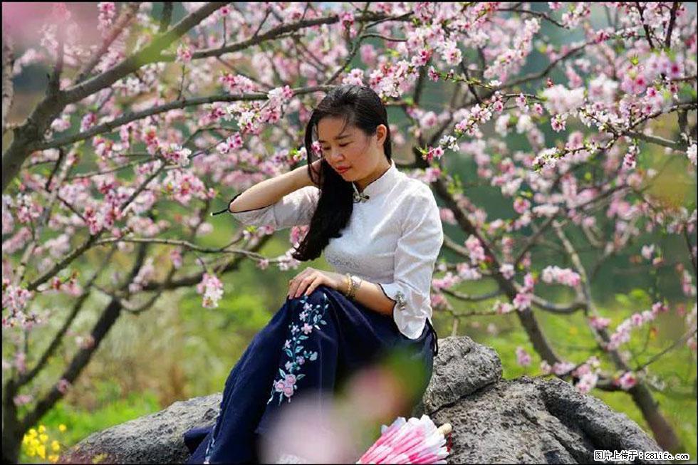 【春天,广西桂林灌阳县向您发出邀请!】望月岭上桃花开 - 游山玩水 - 盐城生活社区 - 盐城28生活网 yancheng.28life.com