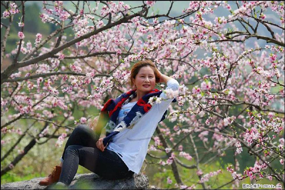 【春天,广西桂林灌阳县向您发出邀请!】望月岭上桃花开 - 游山玩水 - 盐城生活社区 - 盐城28生活网 yancheng.28life.com