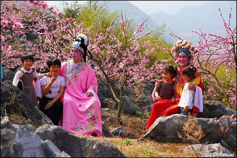 【春天,广西桂林灌阳县向您发出邀请!】望月岭上桃花开 - 游山玩水 - 盐城生活社区 - 盐城28生活网 yancheng.28life.com