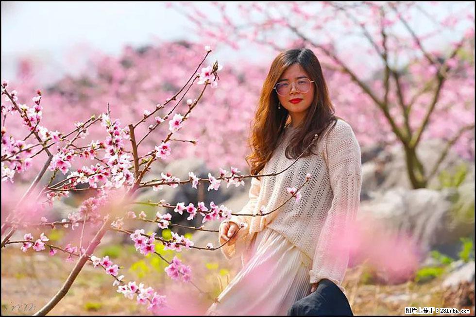 【春天,广西桂林灌阳县向您发出邀请!】望月岭上桃花开 - 游山玩水 - 盐城生活社区 - 盐城28生活网 yancheng.28life.com