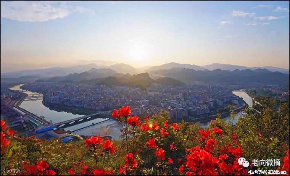 【春天,广西桂林灌阳县向您发出邀请!】登麒麟山,相约映山红 - 游山玩水 - 盐城生活社区 - 盐城28生活网 yancheng.28life.com