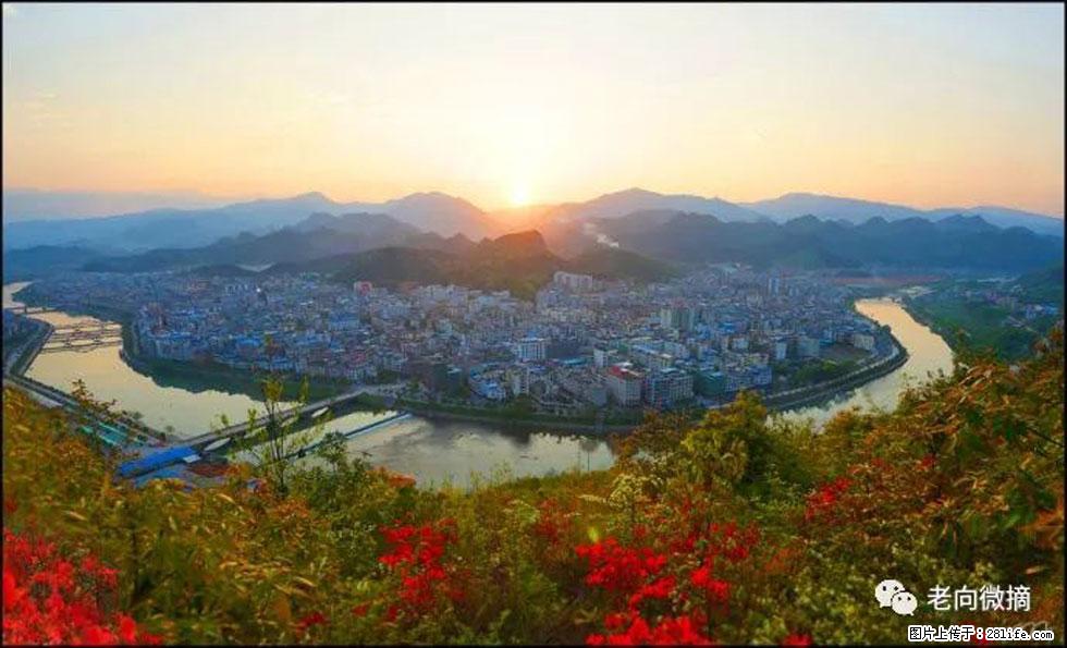 【春天,广西桂林灌阳县向您发出邀请!】登麒麟山,相约映山红 - 游山玩水 - 盐城生活社区 - 盐城28生活网 yancheng.28life.com