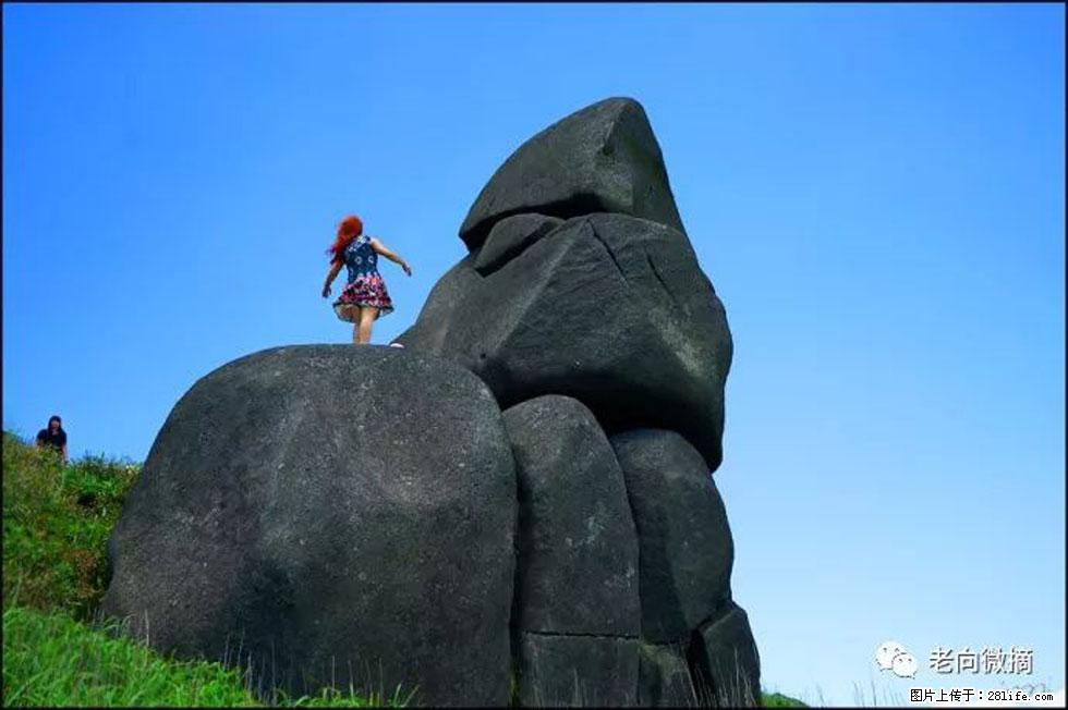 【春天,广西桂林灌阳县向您发出邀请!】宝盖山上映山红 - 游山玩水 - 盐城生活社区 - 盐城28生活网 yancheng.28life.com