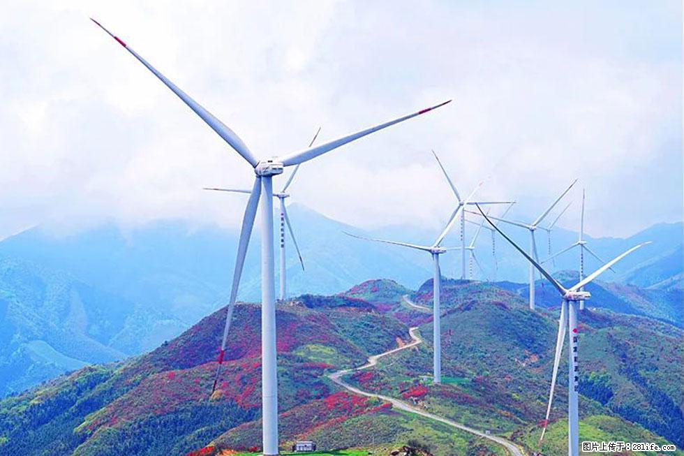 【春天,广西桂林灌阳县向您发出邀请!】春木界上映山红 - 游山玩水 - 盐城生活社区 - 盐城28生活网 yancheng.28life.com