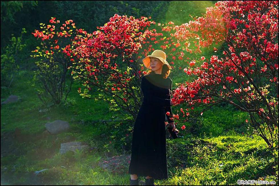 【春天,广西桂林灌阳县向您发出邀请!】春木界上映山红 - 游山玩水 - 盐城生活社区 - 盐城28生活网 yancheng.28life.com