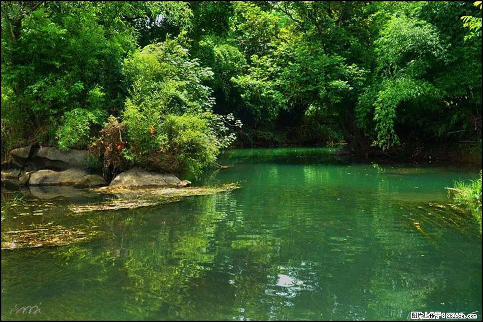 【春天,广西桂林灌阳县向您发出邀请!】如梦似幻莲溪庐 - 游山玩水 - 盐城生活社区 - 盐城28生活网 yancheng.28life.com