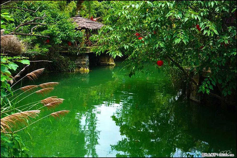 【春天,广西桂林灌阳县向您发出邀请!】如梦似幻莲溪庐 - 游山玩水 - 盐城生活社区 - 盐城28生活网 yancheng.28life.com