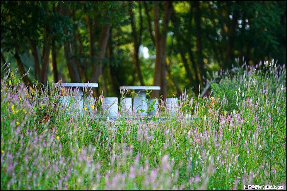 【春天,广西桂林灌阳县向您发出邀请!】熊家寨湿地公园 - 游山玩水 - 盐城生活社区 - 盐城28生活网 yancheng.28life.com