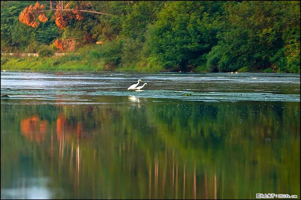 【春天,广西桂林灌阳县向您发出邀请!】熊家寨湿地公园 - 游山玩水 - 盐城生活社区 - 盐城28生活网 yancheng.28life.com