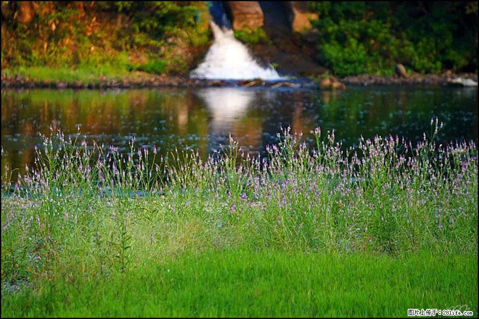 【春天,广西桂林灌阳县向您发出邀请!】熊家寨湿地公园 - 游山玩水 - 盐城生活社区 - 盐城28生活网 yancheng.28life.com