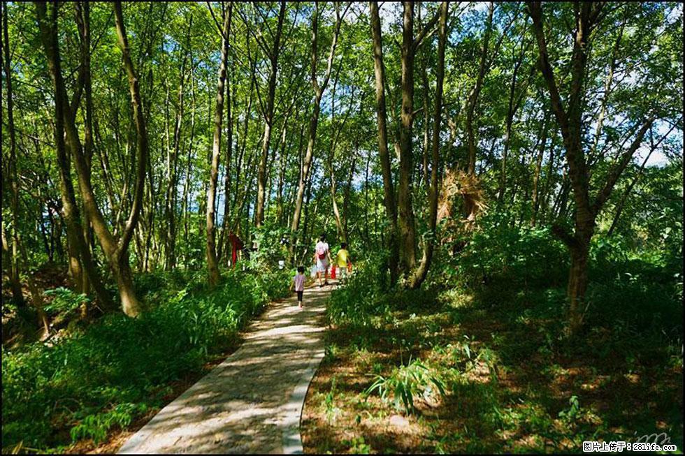 【春天,广西桂林灌阳县向您发出邀请!】熊家寨湿地公园 - 游山玩水 - 盐城生活社区 - 盐城28生活网 yancheng.28life.com