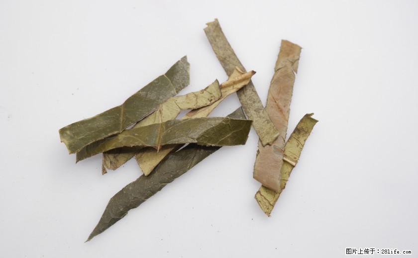 苦丁茶有哪些功效和作用 - 生活百科 - 盐城生活社区 - 盐城28生活网 yancheng.28life.com