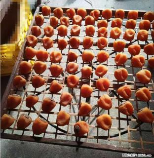 广西桂林平乐桥亭【柿饼之乡】2025年纯手工制作、无任何添加剂的第一批柿饼准备上市了，欢迎联系订购！ - 盐城28生活网 yancheng.28life.com