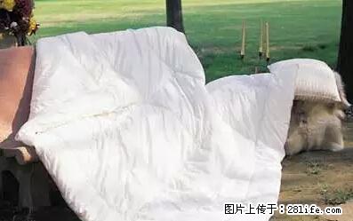 被子有异味?只要这样做,比晒太阳还强100倍! - 家居生活 - 盐城生活社区 - 盐城28生活网 yancheng.28life.com