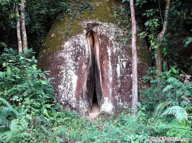 让人脸红的流氓景点，大自然真的有点色 - 灌水专区 - 盐城生活社区 - 盐城28生活网 yancheng.28life.com