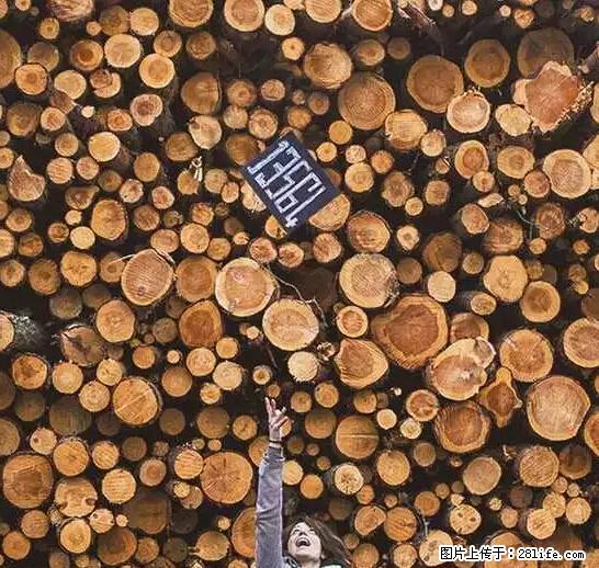 辞掉工作周游世界？现在他们在洗厕所…… - 游山玩水 - 盐城生活社区 - 盐城28生活网 yancheng.28life.com