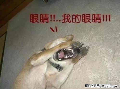 笑癫了！一女的怀孕三年未生，他终于忍不住了... - 娱乐八卦 - 盐城生活社区 - 盐城28生活网 yancheng.28life.com