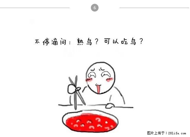 千万不要和这9种哈卵一起吃火锅! - 美食天地 - 盐城生活社区 - 盐城28生活网 yancheng.28life.com