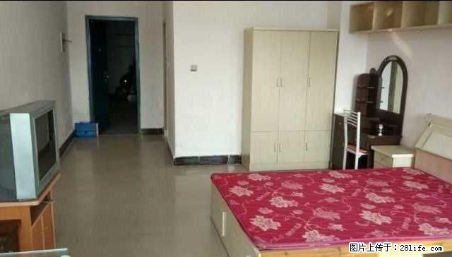 金鹰 夜市 电梯房 清爽1室1厅1卫 可短租,长租价格可议 - 房屋出租 - 房屋租售 - 盐城分类信息 - 盐城28生活网 yancheng.28life.com