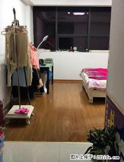 鑫鼎 单身公寓 1室1100元月 精装 拎包入住 真实 - 盐城28生活网 yancheng.28life.com