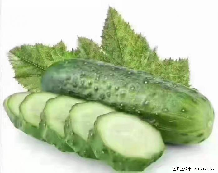 【生活小常识】吃黄瓜的好处 - 生活百科 - 盐城生活社区 - 盐城28生活网 yancheng.28life.com