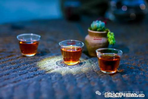 时间果百年古树2025年春红茶 - 购物交流 - 盐城生活社区 - 盐城28生活网 yancheng.28life.com