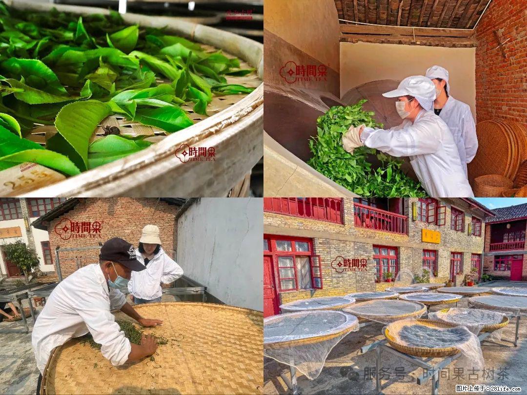 时间果百年古树龙珠普洱生茶 - 购物交流 - 盐城生活社区 - 盐城28生活网 yancheng.28life.com