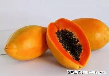 晕车、脚气、牙齿变黄、皮肤粗糙?学会这些三分钟搞定! - 盐城生活资讯 - 盐城28生活网 yancheng.28life.com