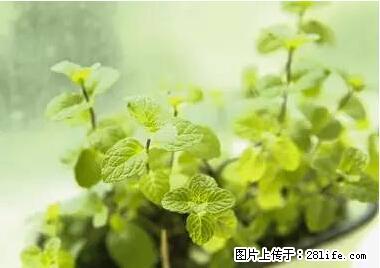 晕车、脚气、牙齿变黄、皮肤粗糙?学会这些三分钟搞定! - 盐城生活资讯 - 盐城28生活网 yancheng.28life.com