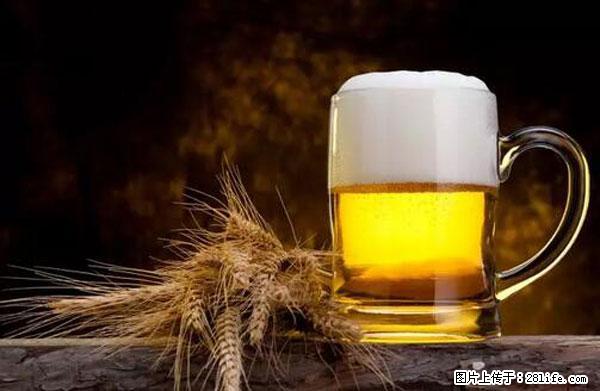 原来它这么毒，然而竟然满大街都是.... - 盐城生活资讯 - 盐城28生活网 yancheng.28life.com