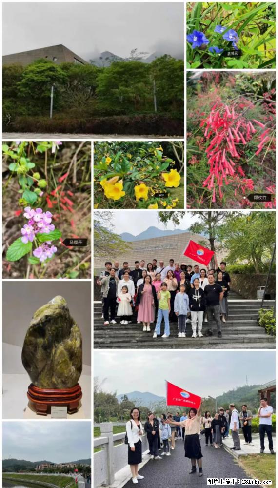 “粤灌文化 美好生活”油茶文化主题活动在广东深圳成功举办 - 盐城生活资讯 - 盐城28生活网 yancheng.28life.com