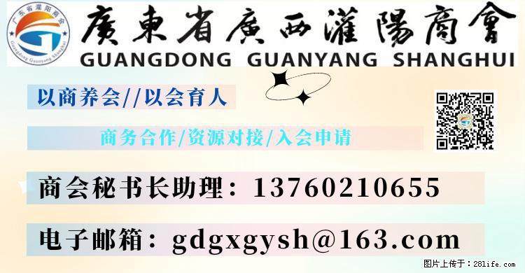 “粤灌文化 美好生活”油茶文化主题活动在广东深圳成功举办 - 盐城生活资讯 - 盐城28生活网 yancheng.28life.com