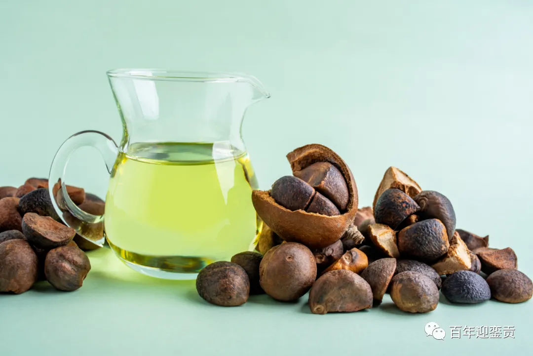 世界没有真相,只有认知,最好的食用油是中国的山茶油! - 盐城生活资讯 - 盐城28生活网 yancheng.28life.com