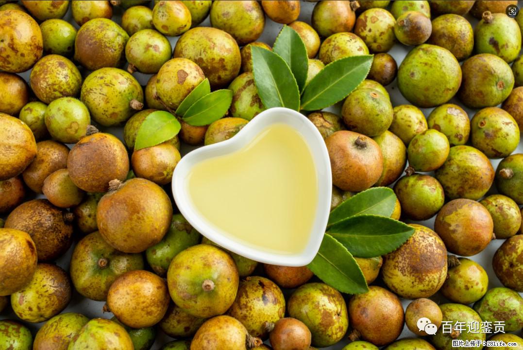 世界没有真相,只有认知,最好的食用油是中国的山茶油! - 盐城生活资讯 - 盐城28生活网 yancheng.28life.com