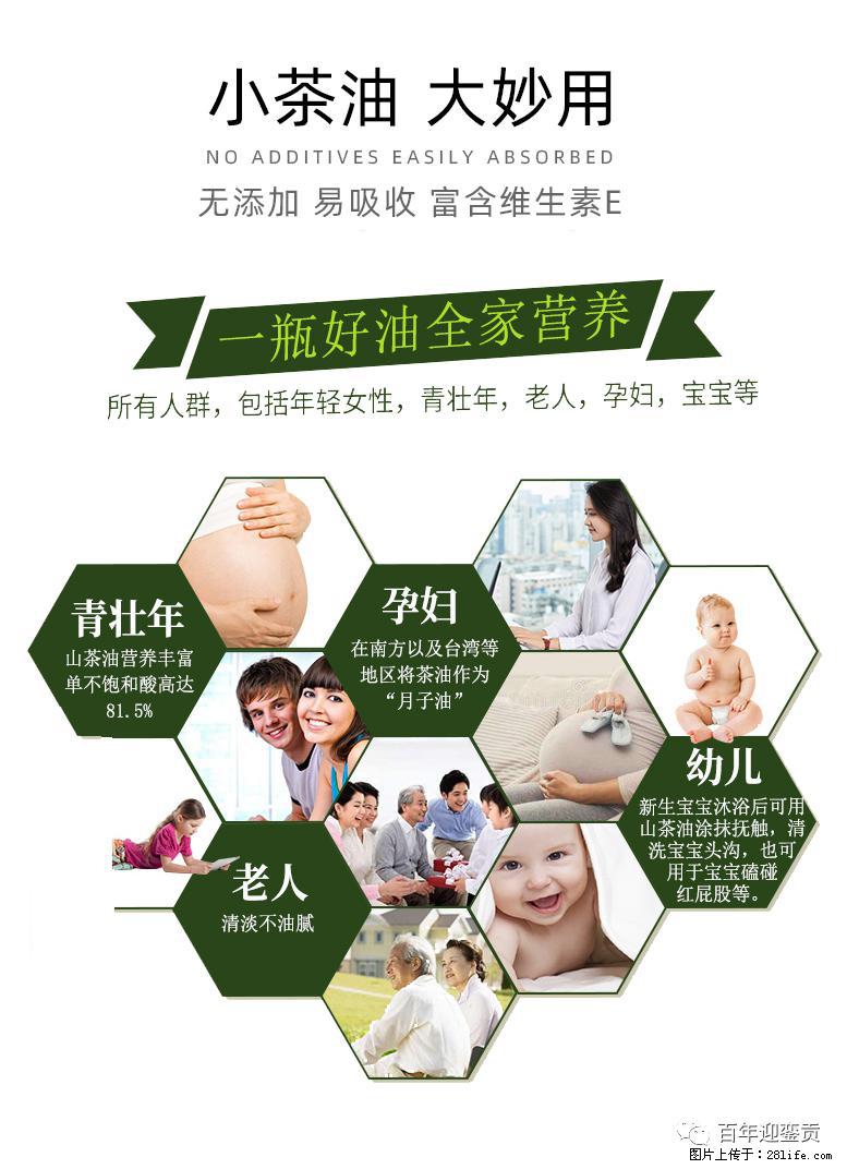 世界没有真相,只有认知,最好的食用油是中国的山茶油! - 盐城生活资讯 - 盐城28生活网 yancheng.28life.com