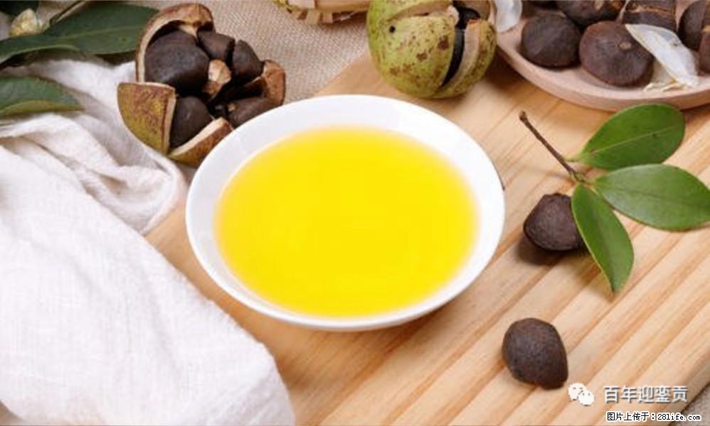 世界没有真相,只有认知,最好的食用油是中国的山茶油! - 盐城生活资讯 - 盐城28生活网 yancheng.28life.com