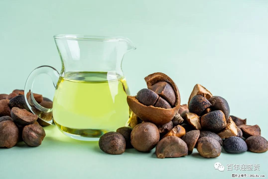 世界没有真相，只有认知，最好的食用油是中国的山茶油！ - 盐城生活资讯 - 盐城28生活网 yancheng.28life.com