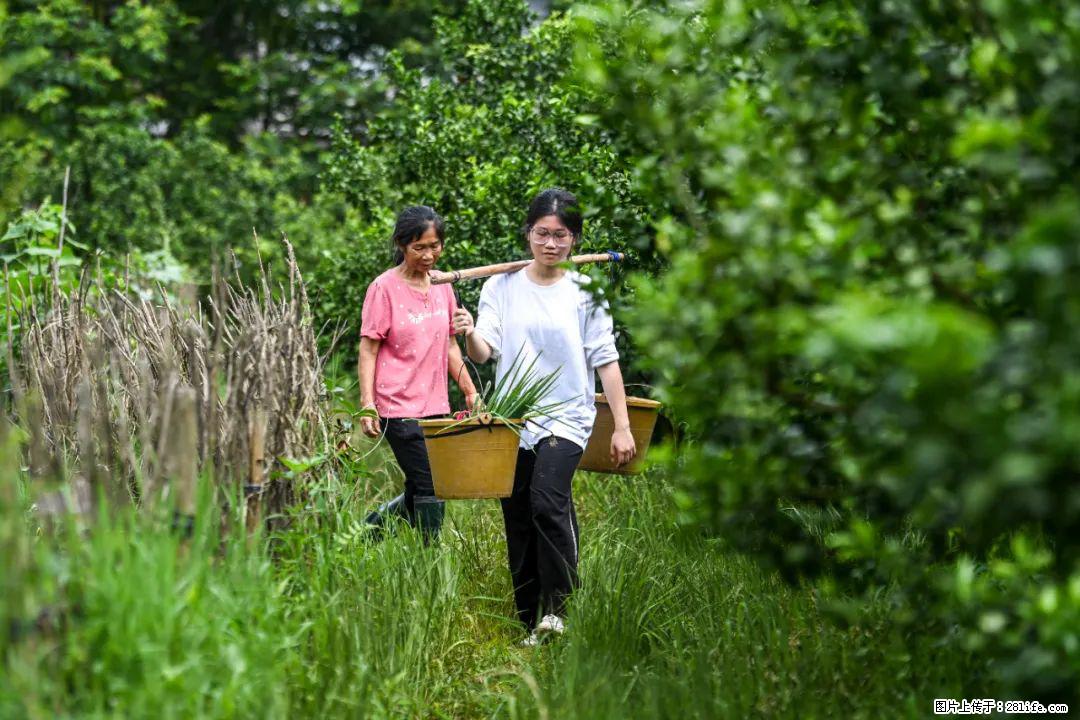 全网追的“扁担女孩”，找了一份暑假工，时薪12元 - 盐城生活资讯 - 盐城28生活网 yancheng.28life.com