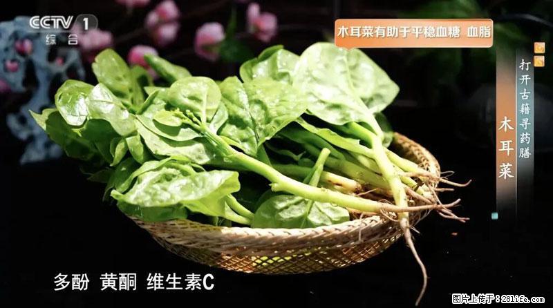 比牛奶补钙还厉害!凉血解毒、稳血糖...这菜冬天必吃,很多人却当草 - 盐城生活资讯 - 盐城28生活网 yancheng.28life.com