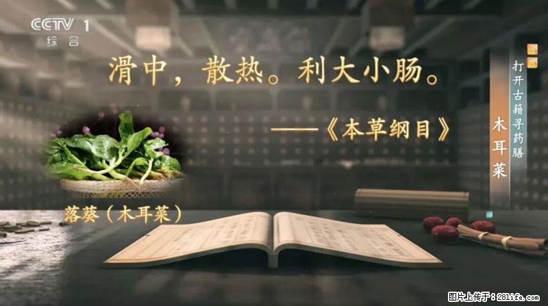 比牛奶补钙还厉害!凉血解毒、稳血糖...这菜冬天必吃,很多人却当草 - 盐城生活资讯 - 盐城28生活网 yancheng.28life.com