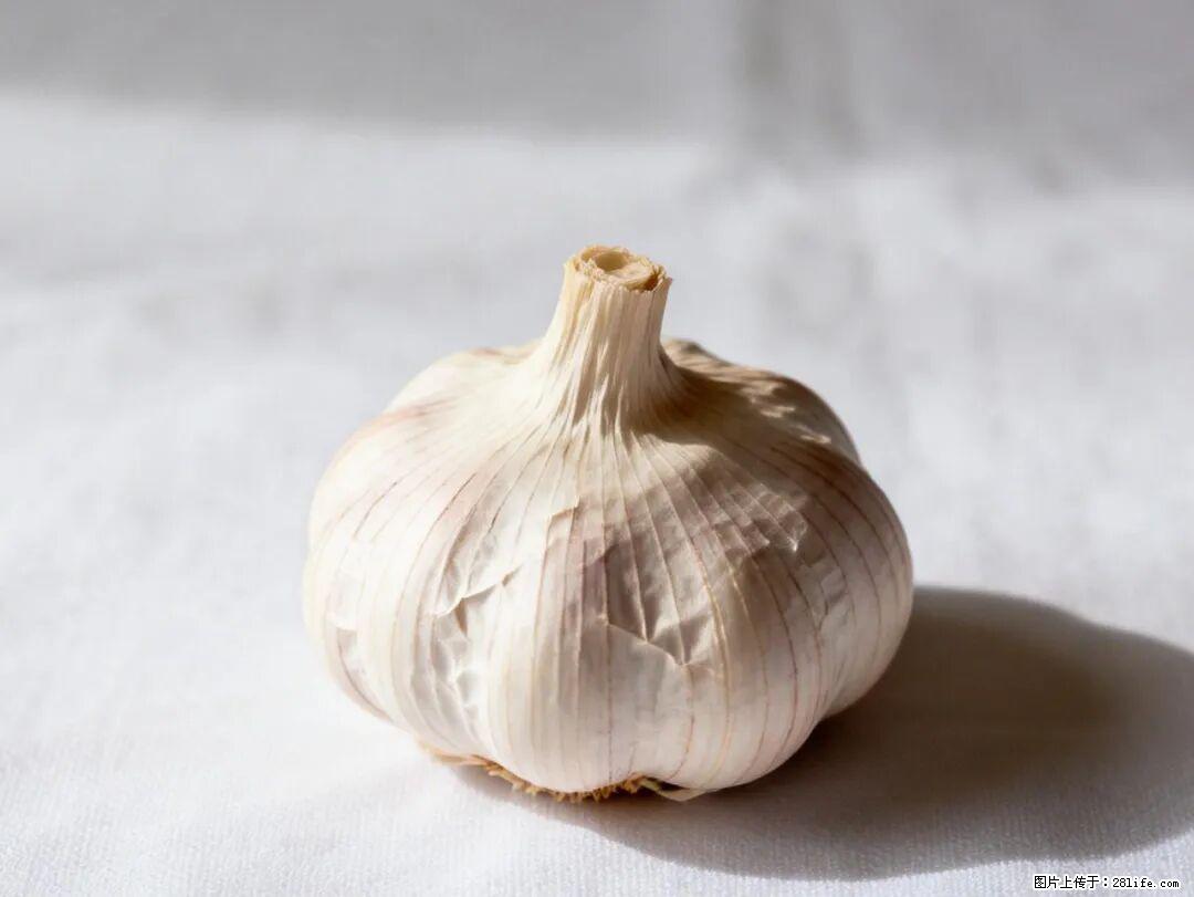 关于大蒜，除了“天然抗生素”，这4个谣言更该警惕! - 盐城生活资讯 - 盐城28生活网 yancheng.28life.com